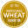 wheatfoundation.org
